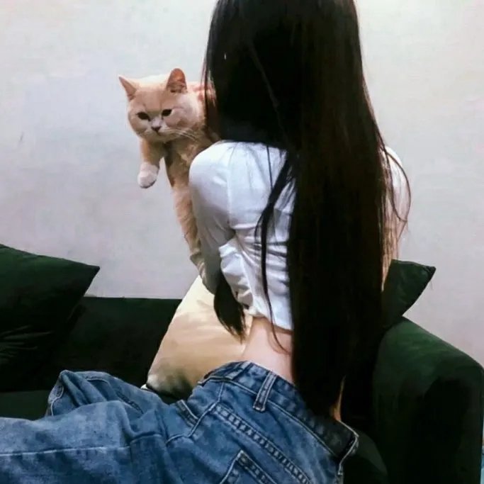 灵魂歌王