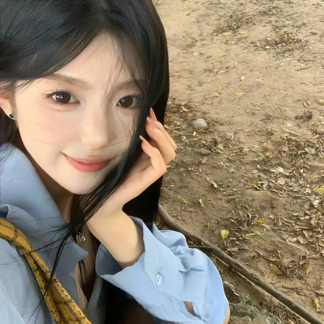 豪姬